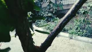 ОЧЕНЬ ЛЕГКИЙ РИТУАЛ ОТ СКАНДАЛОВ