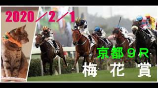 2020/2/1　京都９レース　梅花賞　枠順確定