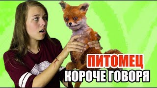 Короче говоря, домашний питомец