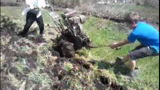 Целину на мотоблоке Урал