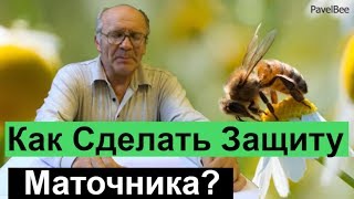 №115 Как Защитить Маточник, Вывод маток На взяток  Пасека | Пчеловодство для начинающих -