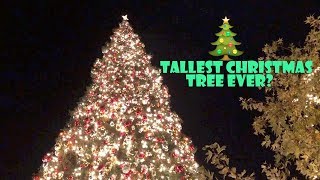 Tallest Christmas Tree Ever? ? (WK 363.6) | Bratayley