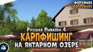 Фарм серебра на Янтарном озере • Русская Рыбалка 4