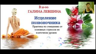 Галина Левшина Исцеление позвоночника. Сила слова и движения!