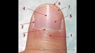 TRATAMIENTO  PARA LAS CUTICULAS RESECAS  ...USA ESTO !!