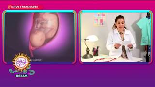 Mitos y Realidades de la vagina | Sale el Sol