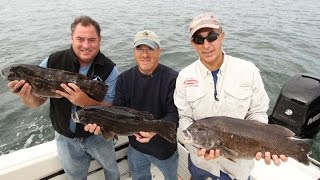 Blackfish Fishing - Norwalk CT - Light Tacke Blackfish
