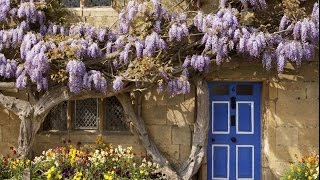 Ralph VAUGHAN WILLIAMS: Oboe Concerto in A minor