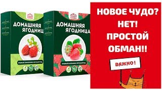 Новое чудо? Или о том как нас хотят обмануть! Чудо-ягодница Сказочный сбор Голландская клубника