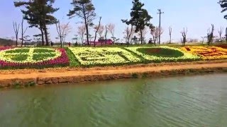 Парк Тюльпанов Южная Корея