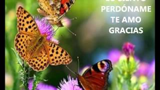 Ho'oponopono para Atraer el Dinero, la Fortuna y la Abundancia a Tu Vida