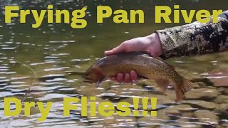 Dry FLY FISHING adventure, Frying Pan River Spring 2018 vlog 26