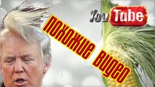 Похожие видео Как попасть в похожие видео