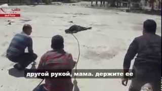 сирия+18. русские сми этого не покажут 33