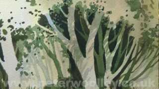 Negative Painting by PETER WOOLLEY (DVD Trailer)