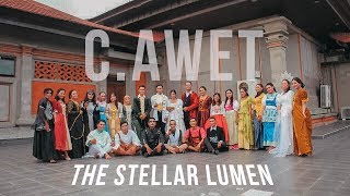 The Stellar Lumen