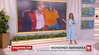 Неля Шовкопляс про феномен Олега Винника - влог Сніданку