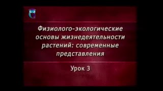 Растения. Урок 3. Сигнальные системы клеток
