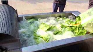 Multi function vegetable washing and cleaning line