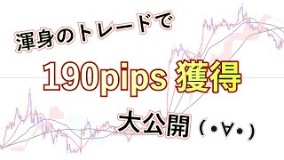 190pips以上ゲットしたFXトレードの一部始終！