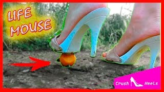 Sexy Mules Crush Mouse Fail