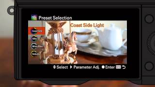 PlayMemories Camera Apps "Liveview Grading"