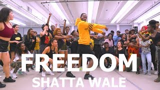 Shatta Wale - Freedom | Meka Oku Choreography