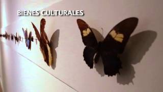 ARTES VISUALES