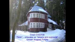 Саша Соколов отрывок из "Школа для дураков". Лето