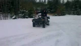 Bashan 250 ATV
