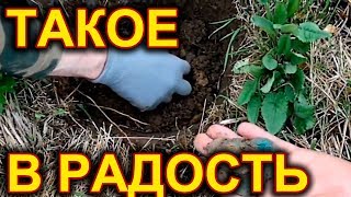 ОНИ СМЕЯЛИСЬ ОЧЕНЬ ДОЛГО. УВИДЕВ ЭТО В ЯМЕ?