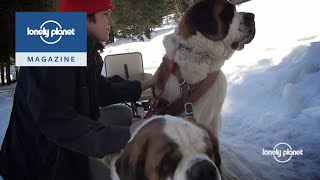 Meeting the Saint Bernards of the Swiss Alps - Lonely Planet travel videos