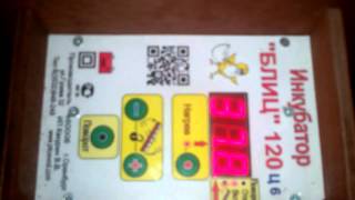 Инкубатор Блиц 120 часть 2
