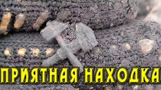В поисках золота  Не  частая находка Коп на поле 2016