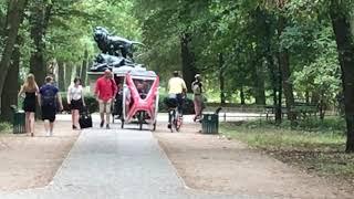 Berlin Brandenburg park