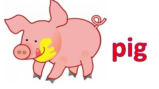 The Animal Sounds for babies │Nombre de los Animales en Ingles