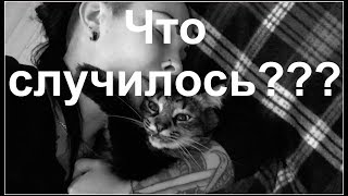 VLOG:Как я занялась сексом на улице. Противно.Искусственный член.18+
