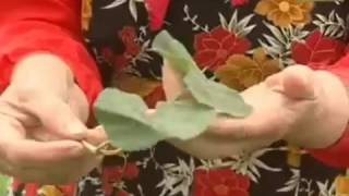 Советы и подсказки Зайцевой Е Ф