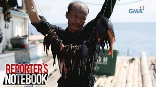 Sitwasyon ng mga mangingisda sa Scarborough Shoal, tinutukan ng 'Reporter's Notebook'