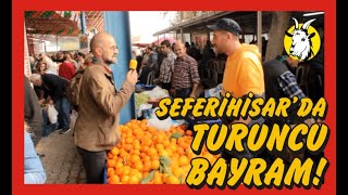 Seferihisar 20. Mandalina Şenliği 2019