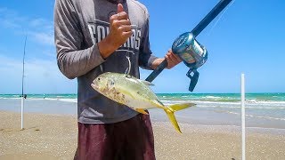 what happens when you use THIS for bait at the beach?