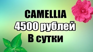 CAMELLIA- ЗАРАБОТОК 4500 РУБЛЕЙ КАЖДЫЕ СУТКИ НА АВТОМАТЕ!