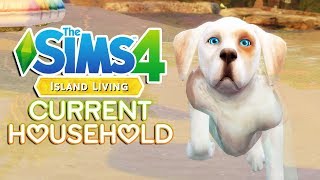 Doggo's First Ocean Swim! | Part 2 | The Sims 4: Current Household (Island Living)