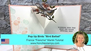 Pop Up Inside Bird
