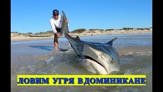 РЫБАЛКА В ДОМИНИКАНЕ на удочку. Доминикана рыбалка с берега. Рыбы в Доминикане.