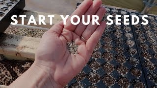How to Start Vegetable Seeds Indoors