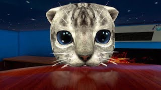 СИМУЛЯТОР Маленького КОТЕНКА #2 напала КРЫССУ играем КОТИКОМ развлекательное видео для малышей