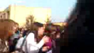 liceo classico gulli e pennisi invaso dalle zecche
