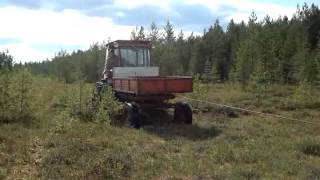 трактор т 16 по болоту