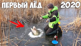 ПЕРВЫЙ ЛЁД 2019-2020!!! ЩУКА на ЖЕРЛИЦЫ РВЁТ СНАСТИ и ОТКУСЫВАЕТ ПОВОДКИ